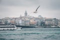 Istanbul cityscape and Bosporus panorama with seagull and boat