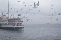 Istanbul Foggy morning, waiting to ferry passengers and dancing Royalty Free Stock Photo