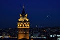 istanbul galata tower in shape of cat Generative AI