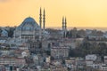 Istanbul Hagia Sophia mosque with city panorama and Golden Horn