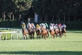 Istanbul Horse Race