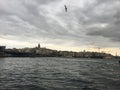 Istanbul Landscape With Bird From Turkey