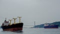 Istanbul, Istanbul Province / Turkey: 19 April, 2016: large freight and container ships passing from the Mediterranean into the