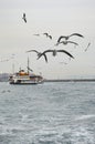 Istanbul Strait, Ferry and seagulls