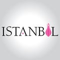 istanbul logo, icon and symbol vector illustration