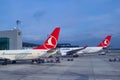 Istanbul, Turkey - 2019-11-25: Airliners of Turkish Airlines refueling at a terminal of Istanbul Havalimani Airport Royalty Free Stock Photo