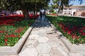Gardens in bloom, in the `Topkapi` palace Royalty Free Stock Photo