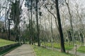 ISTANBUL, TURKEY 2023 August 03: Beautiful garden of the famous Topkapi Palace in Istanbul Royalty Free Stock Photo