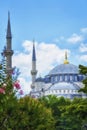 Istanbul, Turkey. Blue Mosque in the historical district of Sultanahmet against the backdrop of the blue sky Royalty Free Stock Photo