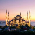 Istanbul, Turkey. Blue Mosque & x28;Sultanahmet Camii& x29; at sunset. Seagulls on the background of sunset.