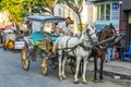 Istanbul, Turkey, 05/24/2019: A cart with horses on Princes Island