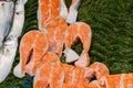 Istanbul, Turkey, 20.12.2019: Fresh seafood on the counter top of the fish market, for sale Royalty Free Stock Photo