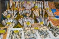 Istanbul, Turkey, 20.12.2019: Fresh seafood on the counter top of the fish market, for sale Royalty Free Stock Photo
