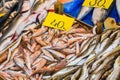 Istanbul, Turkey, 20.12.2019: Fresh seafood on the counter top of the fish market, for sale Royalty Free Stock Photo