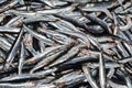 Istanbul, Turkey, 20.12.2019: Fresh seafood on the counter top of the fish market, for sale Royalty Free Stock Photo