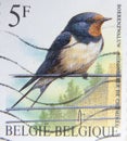 Isolated Belgium Stamp