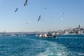 Istanbul Bosphorus and Galata Bridge and ferry and seagulls