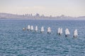 Young sailing boat team are training by moving in one row at the sea.