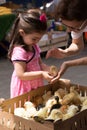 Little girl admires chicks in bazaar