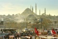 Istanbul, Turkey - March 5, 2021: Magnificent view of famous Suleymaniye mosque Ottoman imperial mosque in Sultanahmet district Royalty Free Stock Photo