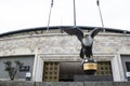 Besiktas sports club belongs to the great Inonu stadium. Sport club icon black eagle. It was founded in 1903.