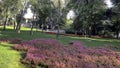 Khedive pavilion and grove on the hills of Istanbul`s Bosphorus