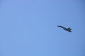 Istanbul, Turkey - September-18,2019: Teknofest 2019 air shows Russian Su-35 aircraft close-up