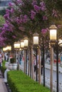 Istanbul- Turkish. Amazing streets lapmp near Blue Mosque