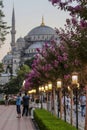 Istanbul- Turkish. Amazing streets lapmp near Blue Mosque