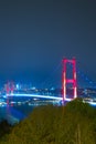 Istanbul vertical photo. Bosphorus Bridge view at night. Royalty Free Stock Photo