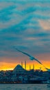 Istanbul vertical photo. Seagull and Suleymaniye Mosque at sunset.