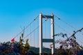 Istanbul view. Bosphorus Bridge with wisteria flowers on the foreground Royalty Free Stock Photo