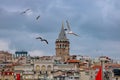 Istanbul view. Galata Tower and seagulls