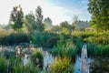 Morning fog on the Istra river Royalty Free Stock Photo