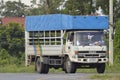 Isuzu truck