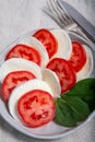 Itaian vegetarian food, fresh caprese salad made with white soft italian mozzarella cheese, red tomato and green basil with olive Royalty Free Stock Photo