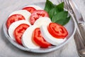 Itaian vegetarian food, fresh caprese salad made with white soft italian mozzarella cheese, red tomato and green basil with olive Royalty Free Stock Photo