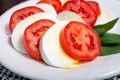 Itaian vegetarian food, fresh caprese salad made with white soft italian mozzarella cheese, red tomato and green basil with olive Royalty Free Stock Photo