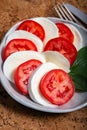 Itaian vegetarian food, fresh caprese salad made with white soft italian mozzarella cheese, red tomato and green basil with olive Royalty Free Stock Photo