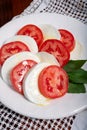 Itaian vegetarian food, fresh caprese salad made with white soft italian mozzarella cheese, red tomato and green basil with olive Royalty Free Stock Photo