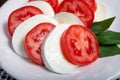 Itaian vegetarian food, fresh caprese salad made with white soft italian mozzarella cheese, red tomato and green basil with olive Royalty Free Stock Photo