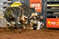 Itaja, Goias, Brazil - 04 21 2023: bull attacking bull riding competitor who fell to the floor