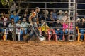 Itaja, Goias, Brazil - 04 22 2023: Person at a bull riding event in a rodeo arena