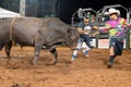 Itaja, Goias, Brazil - 04 21 2023: rodeo life saver with bull