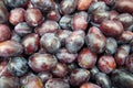 Italia plums Royalty Free Stock Photo