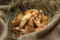 Italian almond biscuit (cookies) Royalty Free Stock Photo