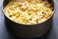 Italian american baked farfalle bow pasta in bechamel sauce