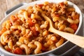 Italian American goulash with pasta, beef and tomatoes close-up. horizontal