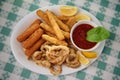 Italian appetizer combination plate with mozzarella sticks,fried calamari and zucchini Royalty Free Stock Photo