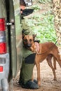 Italian army anti-explosive dog
